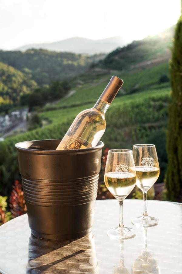 מלון Chavanay Wine Passion Panoramic מראה חיצוני תמונה