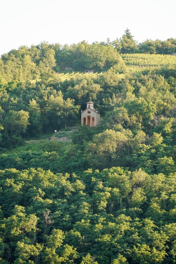 מלון Chavanay Wine Passion Panoramic מראה חיצוני תמונה