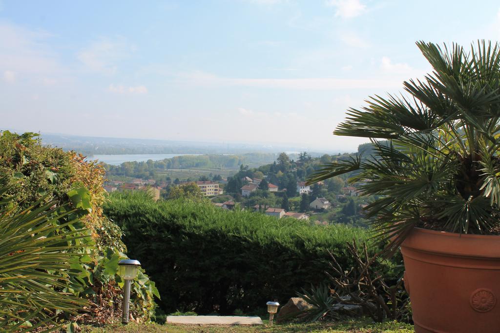 מלון Chavanay Wine Passion Panoramic מראה חיצוני תמונה