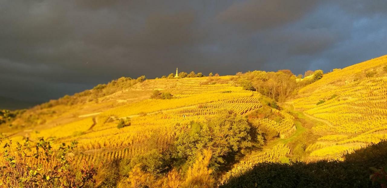 מלון Chavanay Wine Passion Panoramic מראה חיצוני תמונה